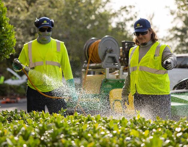 Pest Management