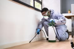 Termite Management