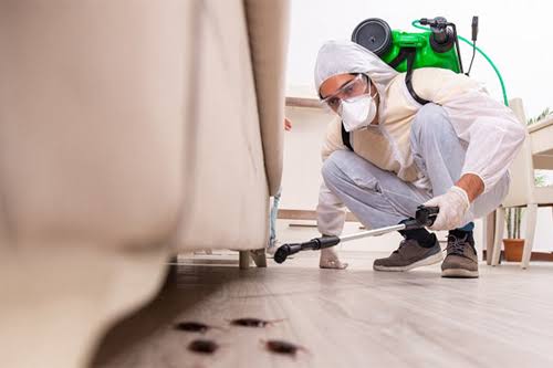Pest Control Services