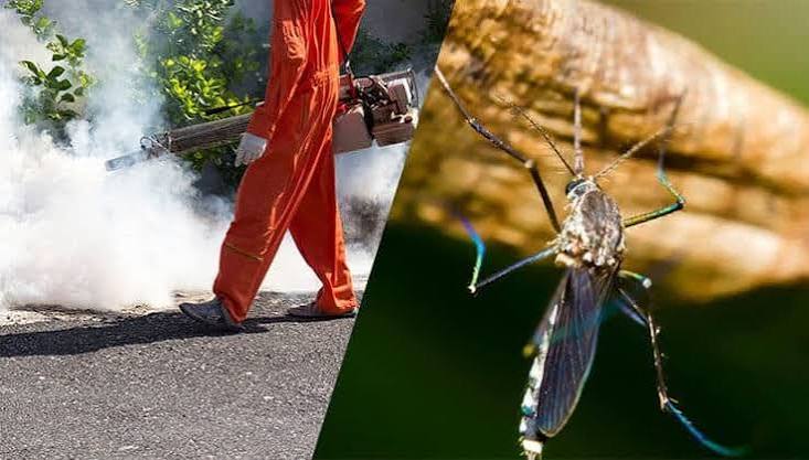 Mosquito Management