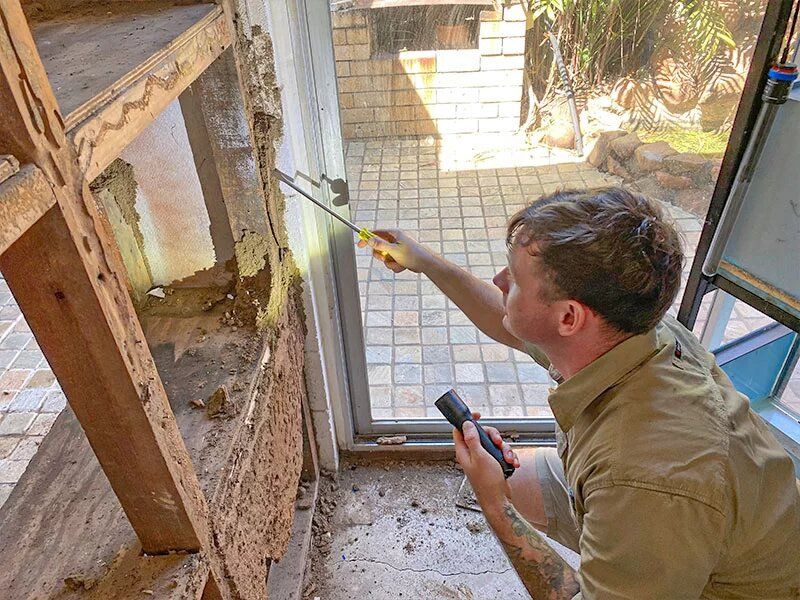 Termite Control image 1