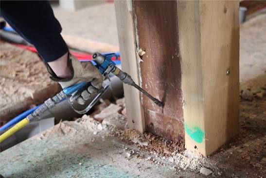 Termite Control image 2